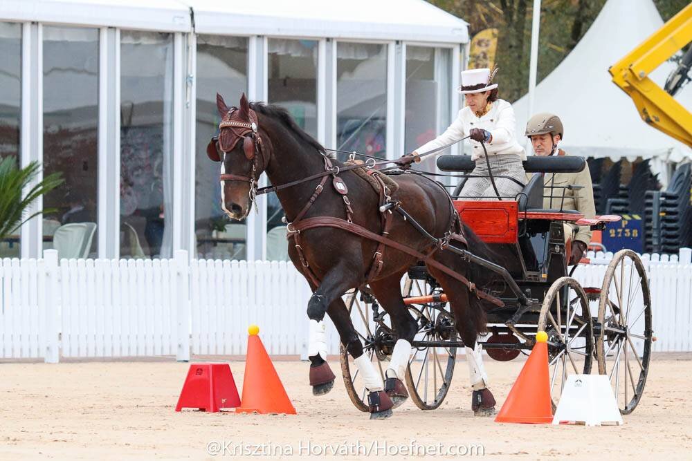 Carmen y Juan Goiburu Esnaola representan a Espa&ntilde;a en el Mundial de Enganches de Pau
